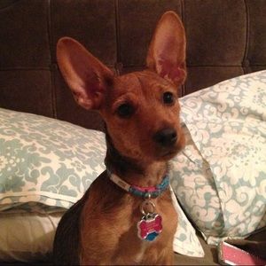 Meet your Posher, Mike